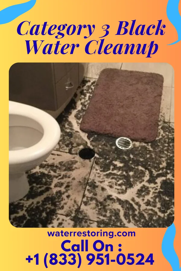 Category 3 Black Water Cleanup in Royal, IA