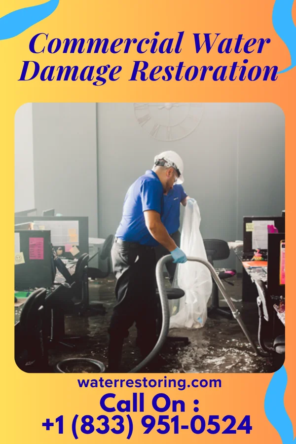 Commercial Water Damage Restoration in Royal, IA