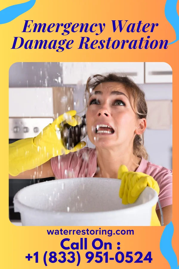 Emergency Water Damage Restoration in Royal, IA