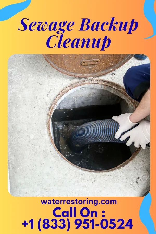 Sewage Backup Cleanup in Royal, IA